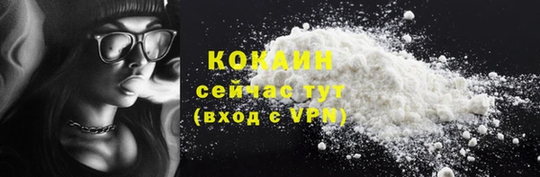 дмт Абаза