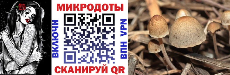 ОМГ ОМГ как войти  купить   Ефремов  Псилоцибиновые грибы мухоморы 
