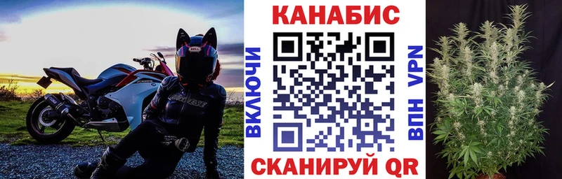 Бошки Шишки план где найти наркотики Ефремов